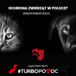 Wspólnie z DIOZ ratujemy zwierzęta!
